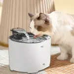 Smart Automatic Cat Water Dispenser with Transparent Window - USB-Powered (No Batteries Needed), Spill-Proof IPX4, Large 74.39oz Capacity